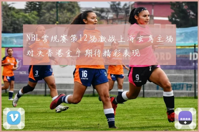 NBL常规赛第12场激战上海玄鸟主场对决香港金牛期待精彩表现