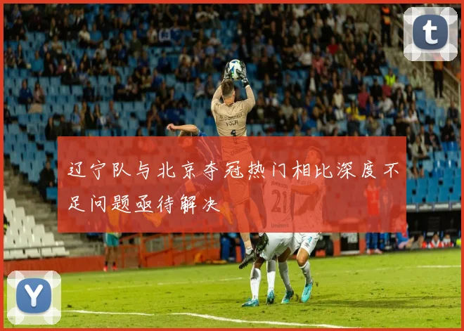 辽宁队与北京夺冠热门相比深度不足问题亟待解决