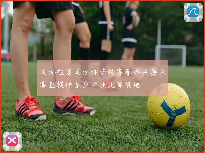 足协征集足协杯资格赛承办地要求赛区提供至少六块比赛场地