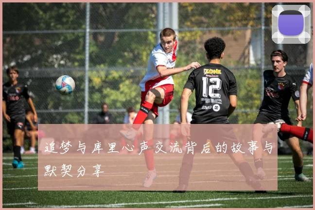 追梦与库里心声交流背后的故事与默契分享