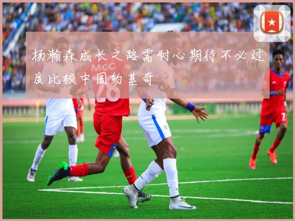 杨瀚森成长之路需耐心期待不必过度比较中国约基奇