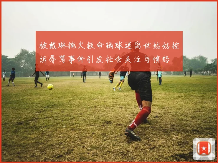 被戴琳拖欠救命钱球迷离世姑姑控诉辱骂事件引发社会关注与愤怒