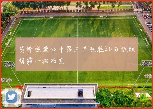 黄蜂逆袭公牛第三节狂胜26分连败阴霾一扫而空